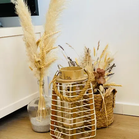 Cosy Carnon-plage موجيو